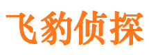 上甘岭侦探公司